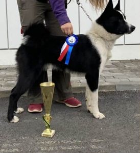 90190fb9-e302-4d56-95b6-6873615be5e0